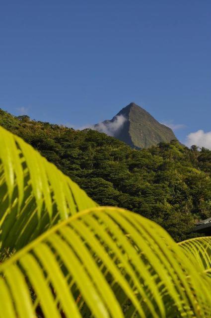 Готель Le Relais De La Maroto Pirae Екстер'єр фото